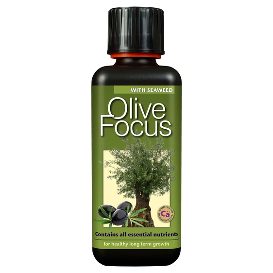 Olive Focus Plant Food 300 ml
