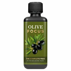 Olive Focus Plant Food