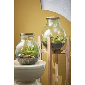 Olly Terrarium Vase - Ø21cm - image 6