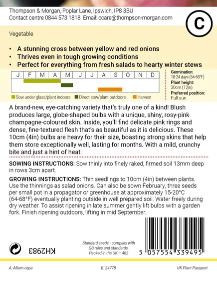 Onion Blush F1 Seeds - image 2