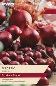 Onion Electric