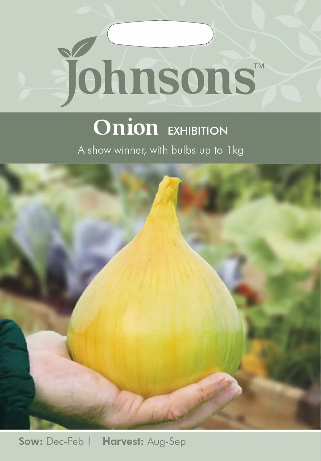 Onion Exhibition Seeds - Cowell's Garden Centre | Woolsington