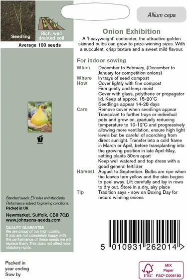 Onion Exhibition Seeds - image 2