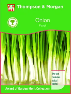 Onion Feast - image 1