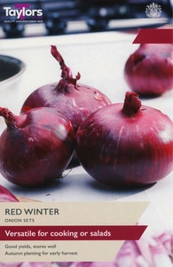 Onion Red Winter