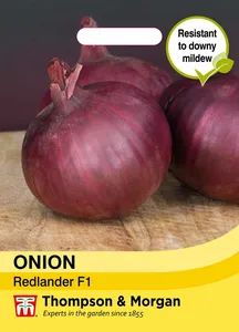 Onion Redlander F1 - image 1