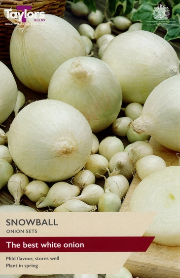Onion Snowball
