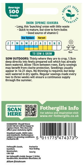 Onion (Spring) Ishikura - image 2