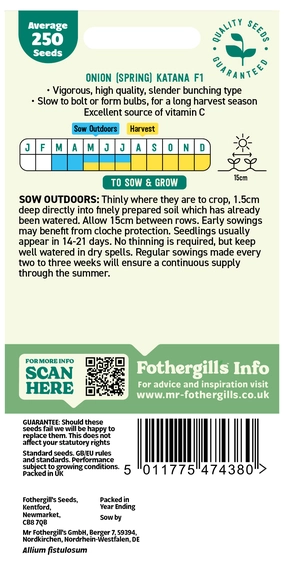 Onion (Spring) Katana F1 - image 2