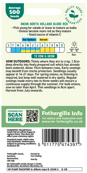 Onion (Spring) North Holland Blood Red Seeds - image 2