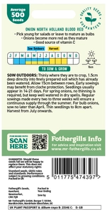 Onion (Spring) North Holland Blood Red Seeds - image 2