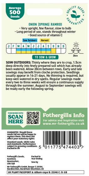 Onion (Spring) Ramrod - image 2