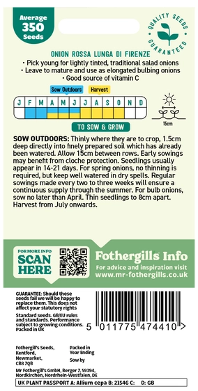 Onion (Spring) Rossa Lunga Di Firenze Seeds - image 2