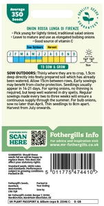 Onion (Spring) Rossa Lunga Di Firenze Seeds - image 2