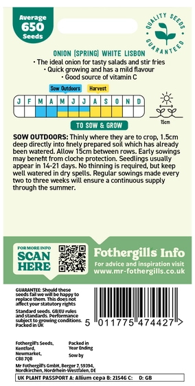Onion (Spring) White Lisbon - image 2