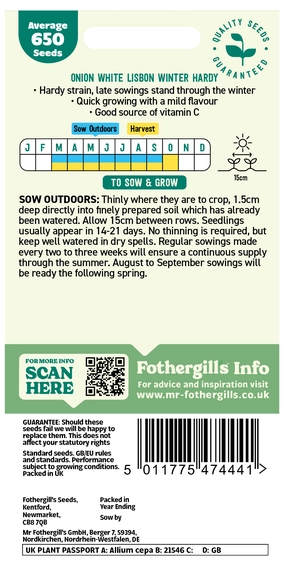Onion (Spring) White Lisbon Winter Hardy - image 2