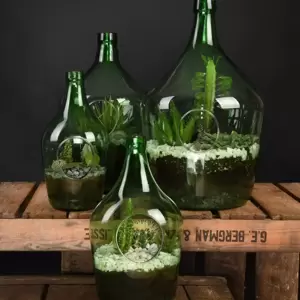 Open Bottle Terrarium 3L - image 4