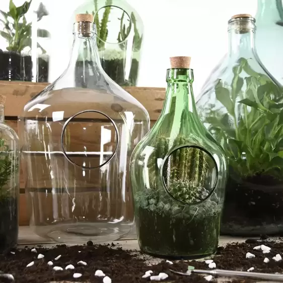 Open Bottle Terrarium 3L - image 5