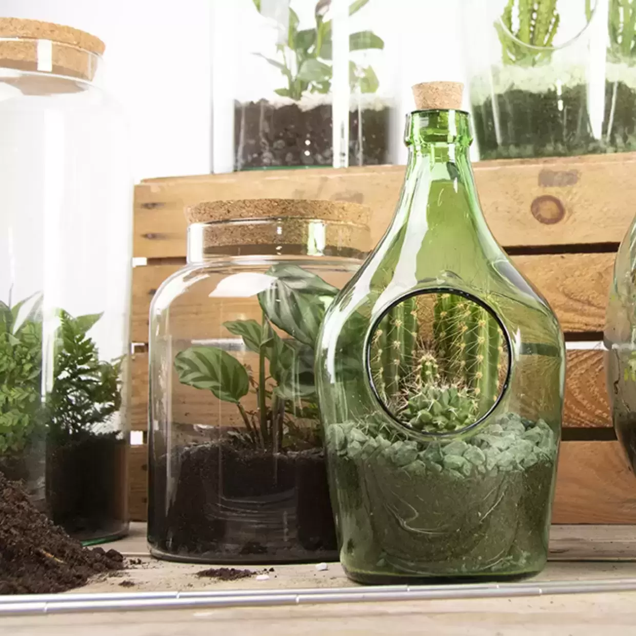 Terrarium Bottle w/Tools, Glass, Green - Large - Esschert Design USA