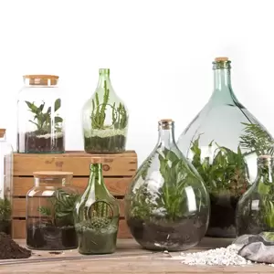 Open Bottle Terrarium 3L - image 7