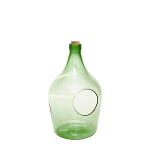 Open Bottle Terrarium 5L - image 2