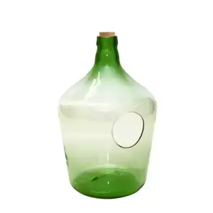 Open Bottle Terrarium 10L