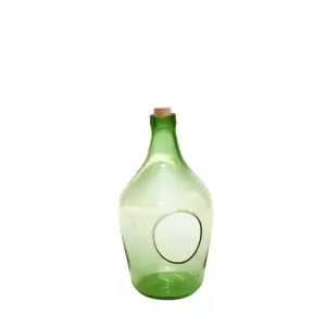 Open Bottle Terrarium 3L