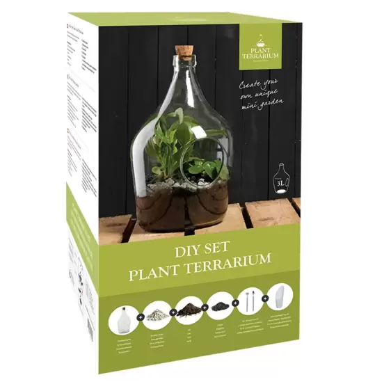 Open Bottle Terrarium Set 3L - image 1