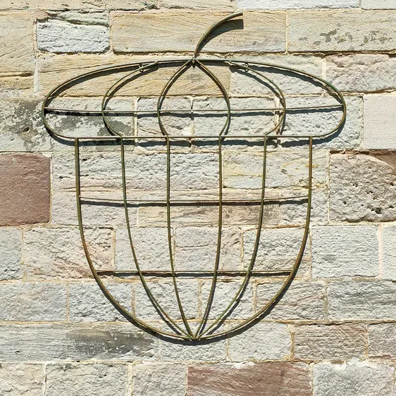Orchard Acorn Trellis - image 1