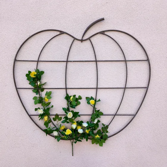 Orchard Apple Trellis - image 2