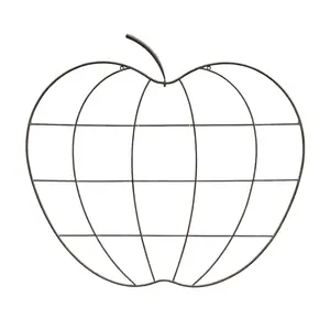 Orchard Apple Trellis - image 3