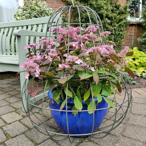 Orchard Pear Garden Sculpture - Small - image 3