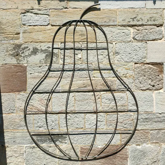 Orchard Pear Trellis - image 1