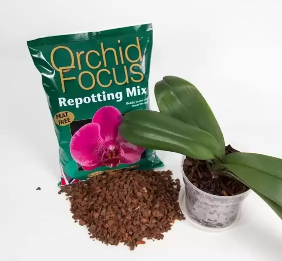Orchid Focus Peat Free Repotting Mix 3L - image 2