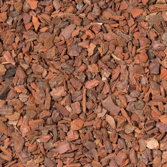 Orchid Focus Repotting Mix 8L - image 2