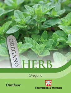 Oregano - image 1