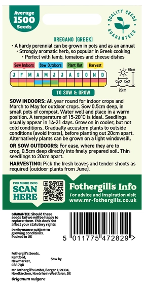 Oregano (Greek) - image 2