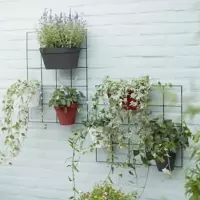 Hanging Baskets & Wall Pots