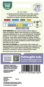 Ox Eye Daisy Seeds - image 2