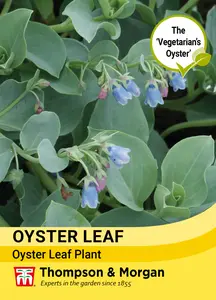 Oyster Leaf - image 1