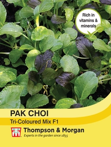 Pak Choi (Chinese Cabbage) Tricoloured Mix F1 - image 1
