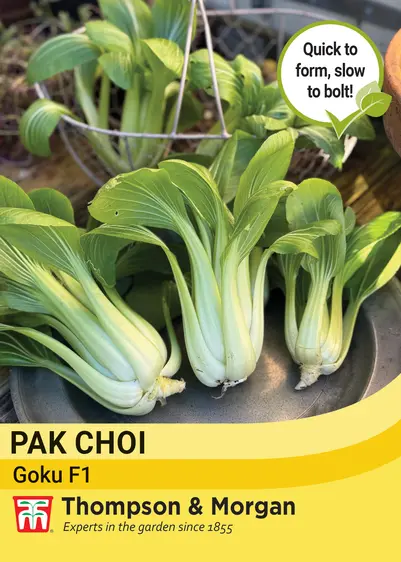 Pak Choi Goku F1 Seeds - image 1