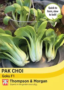 Pak Choi Goku F1 Seeds - image 1