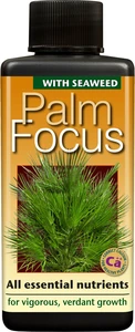 Palm Focus - image 1