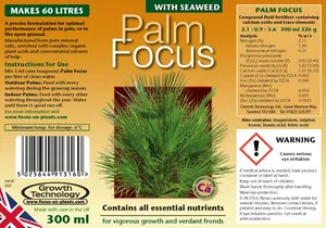 Palm Focus - image 2