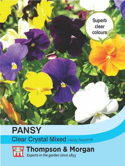 Pansy Clear Crystal Mixed - image 1