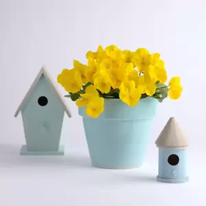 Picture Credit - Ball Horticultural Company