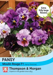 Pansy Moulin Rouge F1 Seeds - image 1