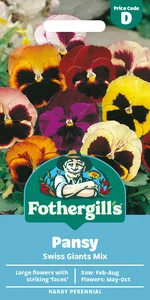 Pansy Swiss Giants Mixed - image 1