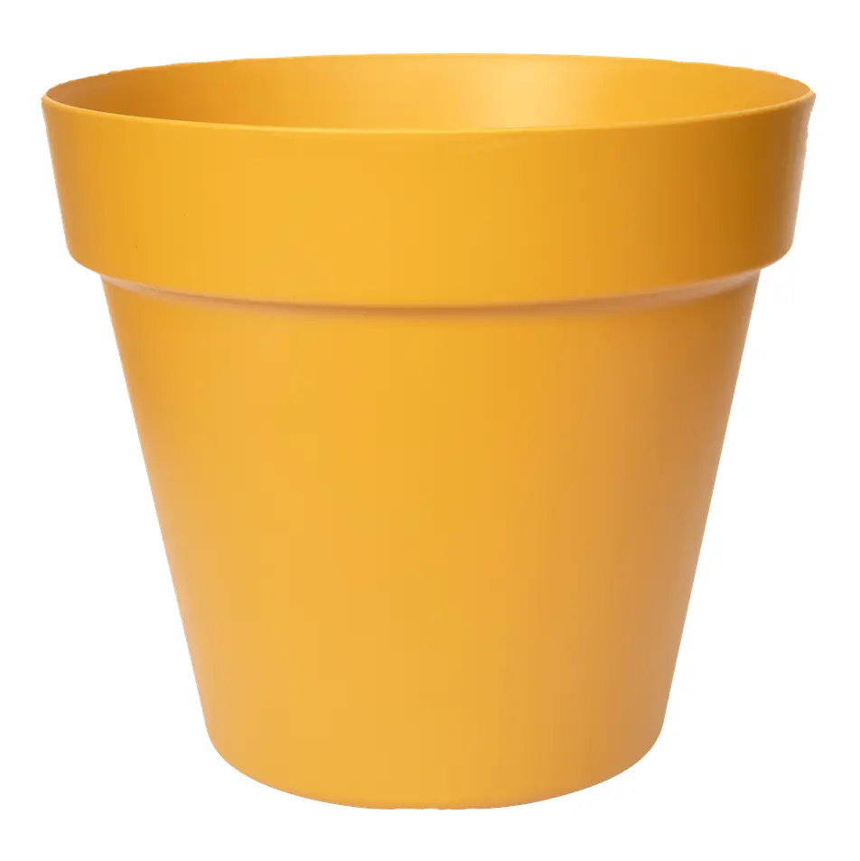 Paris Mustard Pot 47cm Cowell's Garden Centre Woolsington